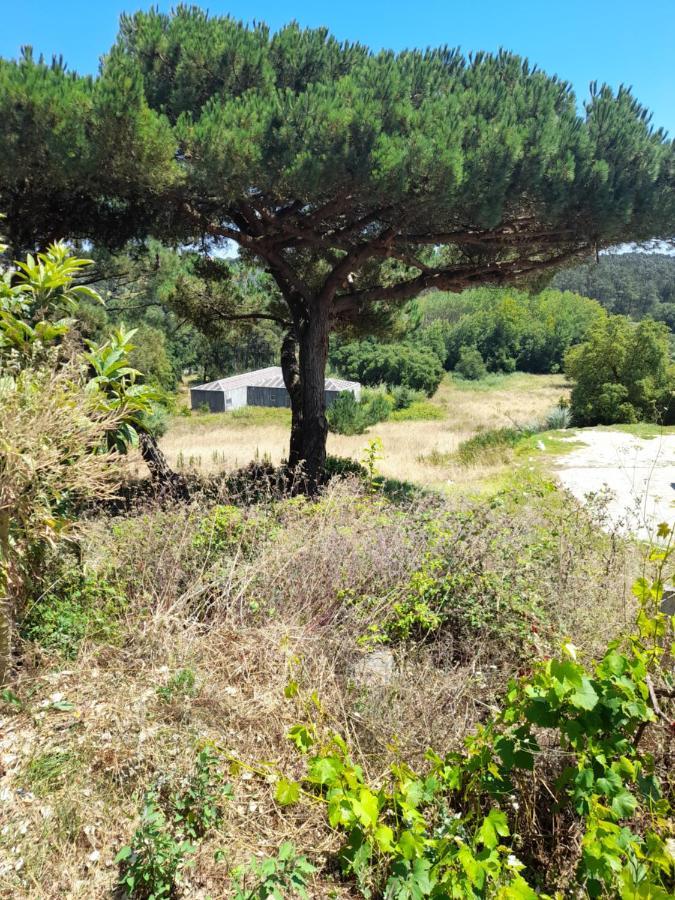 Nadadouro Eco-Country-Cottage Esterno foto
